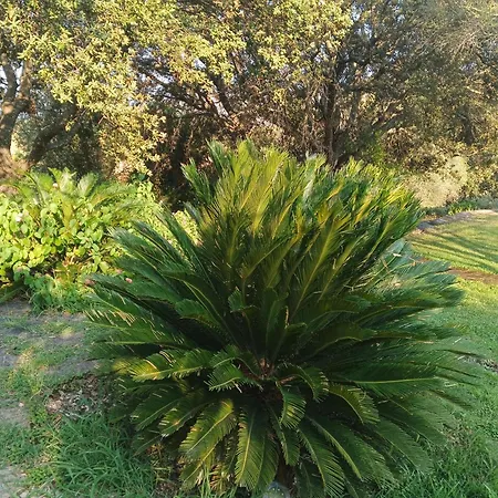 Desole Vakantieboerderij Monti