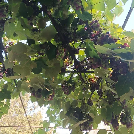 Vakantieboerderij Desole Monti